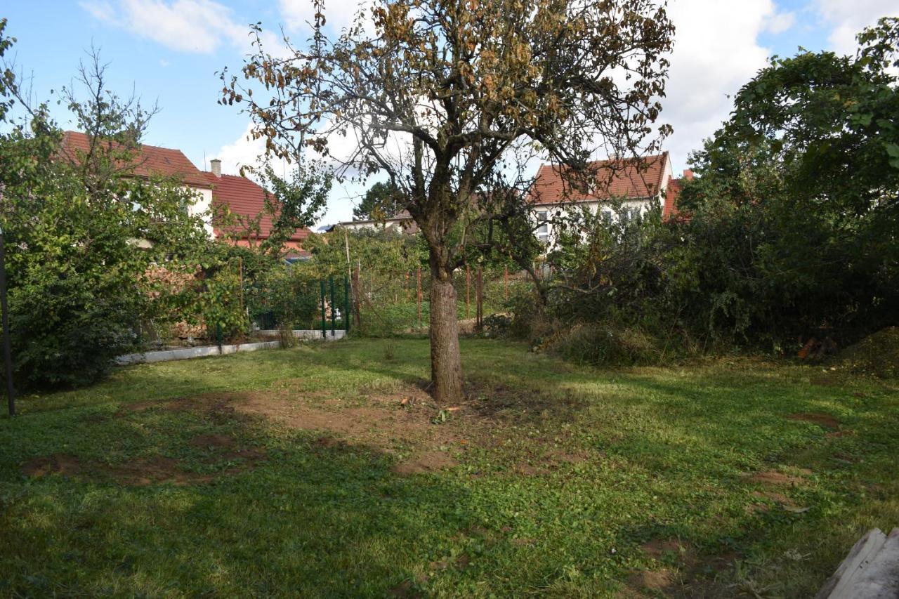 Chalupa Veseli Veselí nad Moravou Buitenkant foto